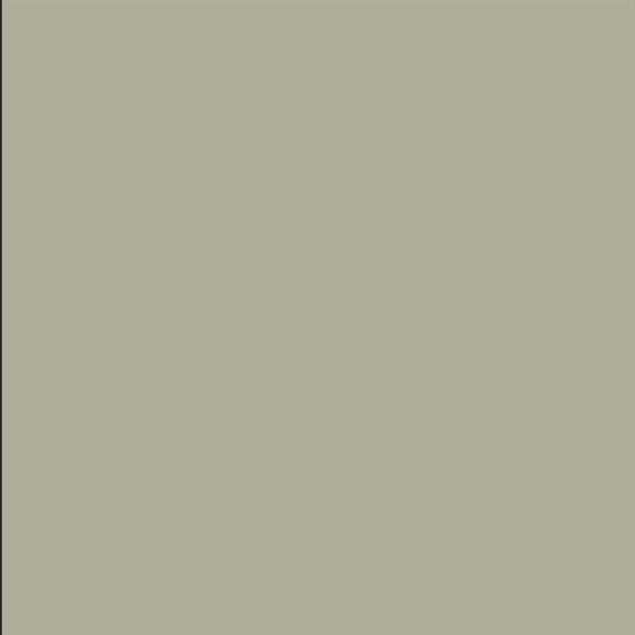 6004-ST-P 640 - Ash Silk - 4' x 8'